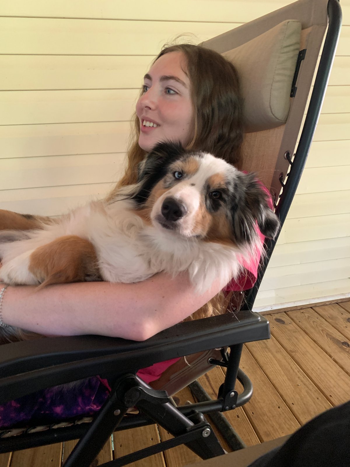 River is an Australian Shepherd that loves chasing balls.